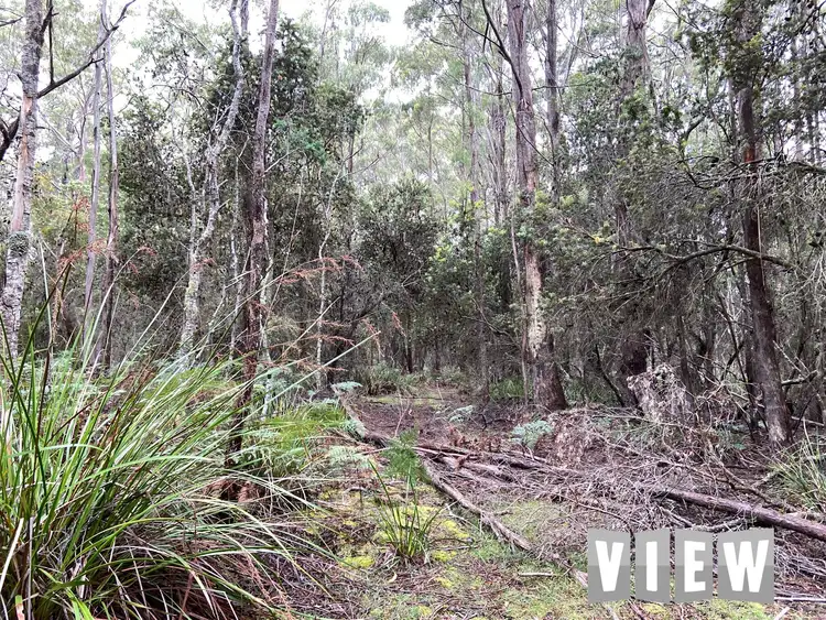 Sixth view of Homely land listing, PID 6408496 Elephant Pass Road, St Marys TAS 7215