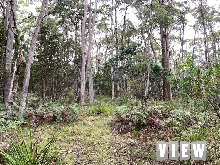 Seventh view of Homely land listing, PID 6408496 Elephant Pass Road, St Marys TAS 7215
