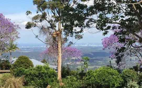 17-21 Cliff Way, Tamborine Mountain QLD 4272