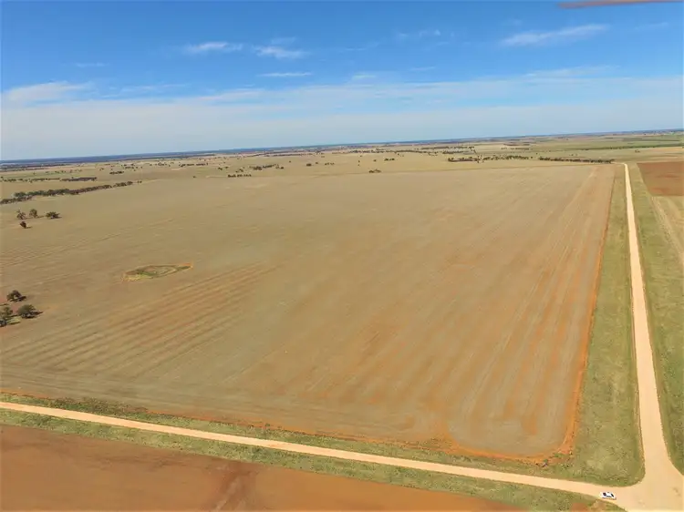 Main view of Homely rural property listing, Old Charlton-Boort Road, Wychitella North VIC 3525
