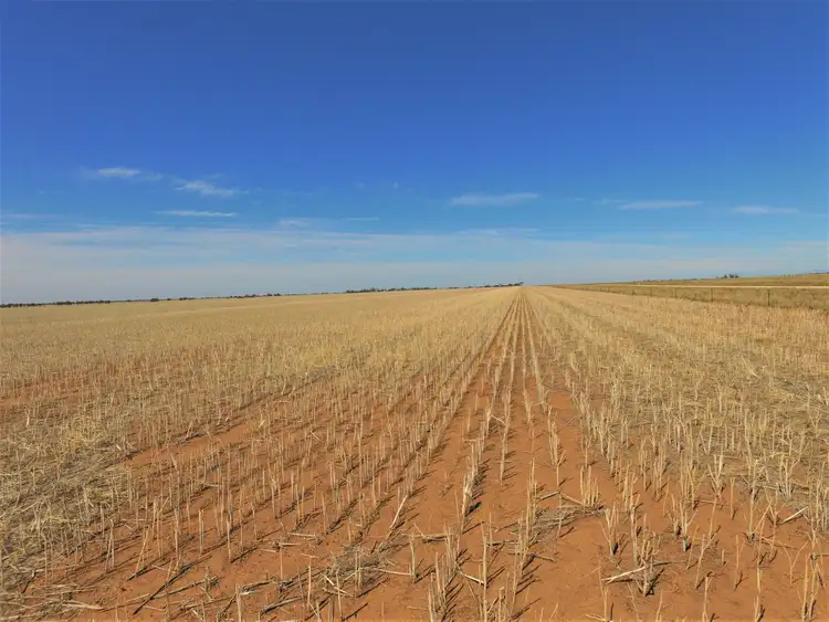 Second view of Homely rural property listing, Old Charlton-Boort Road, Wychitella North VIC 3525