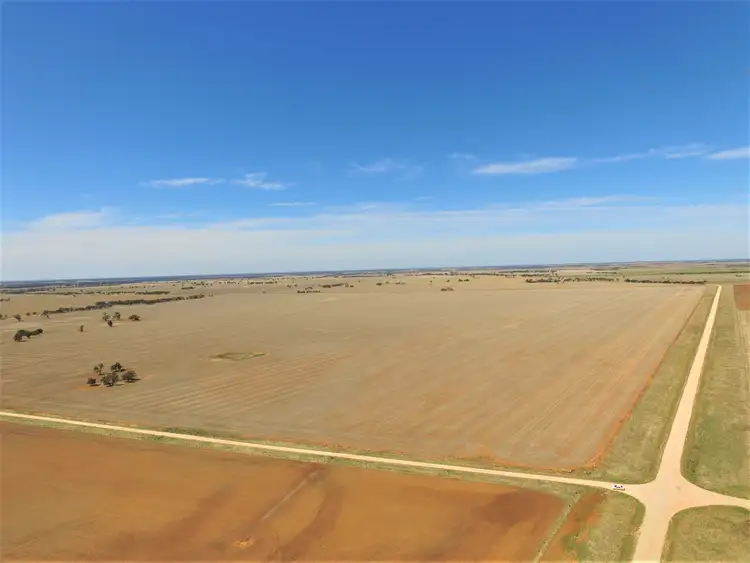 Fifth view of Homely rural property listing, Old Charlton-Boort Road, Wychitella North VIC 3525