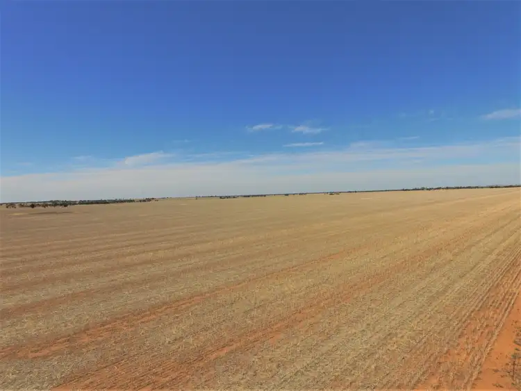 Seventh view of Homely rural property listing, Old Charlton-Boort Road, Wychitella North VIC 3525