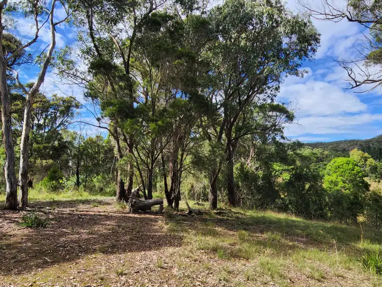 Fifth view of Homely rural property listing, 38 Durran Durra Place, Durran Durra NSW 2622