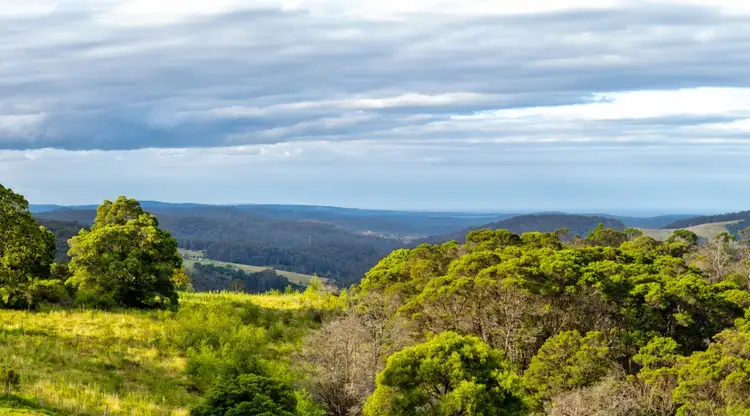 Second view of Homely rural property listing, 540 Nullica Road, Nethercote NSW 2549
