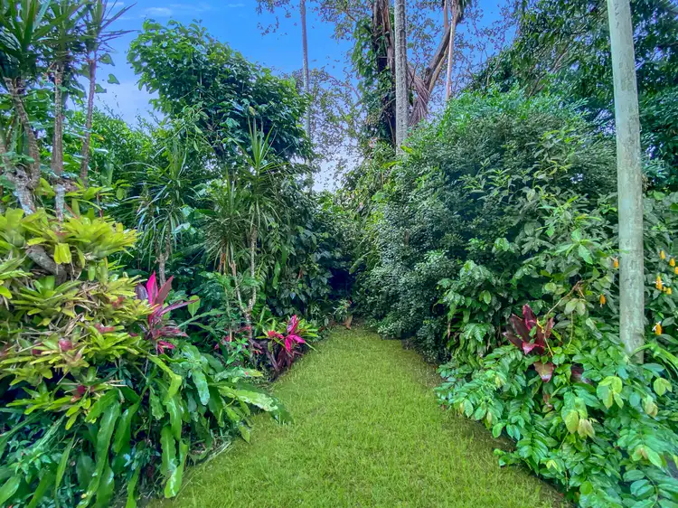 Main view of Homely house listing, 40 Wakefield Street, Woombye QLD 4559
