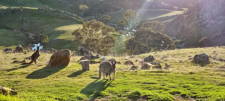 Third view of Homely rural property listing, 56 Moss Smith Road, Eden Valley SA 5235