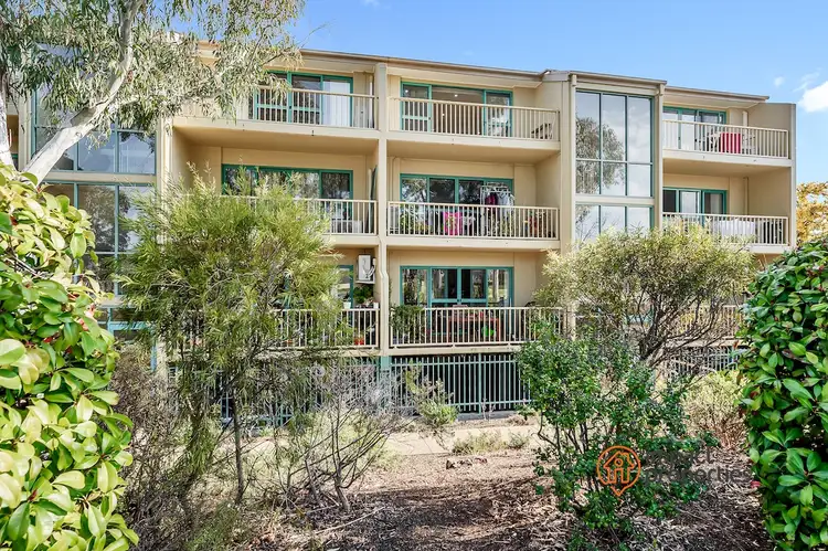 Main view of Homely apartment listing, 41/53 Mcmillan Crescent, Griffith ACT 2603