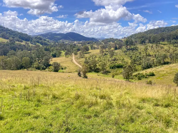 231 Little Run Road, Wherrol Flat NSW 2429
