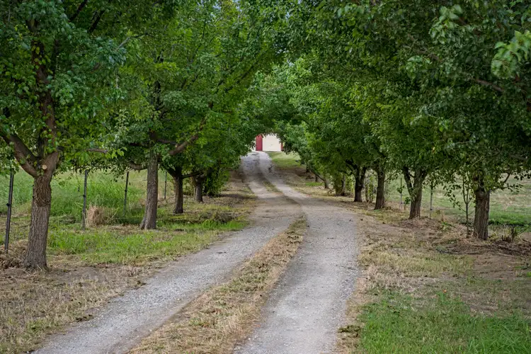 Third view of Homely rural property listing, 3020 BEECHWORTH-WODONGA ROAD, Leneva VIC 3691