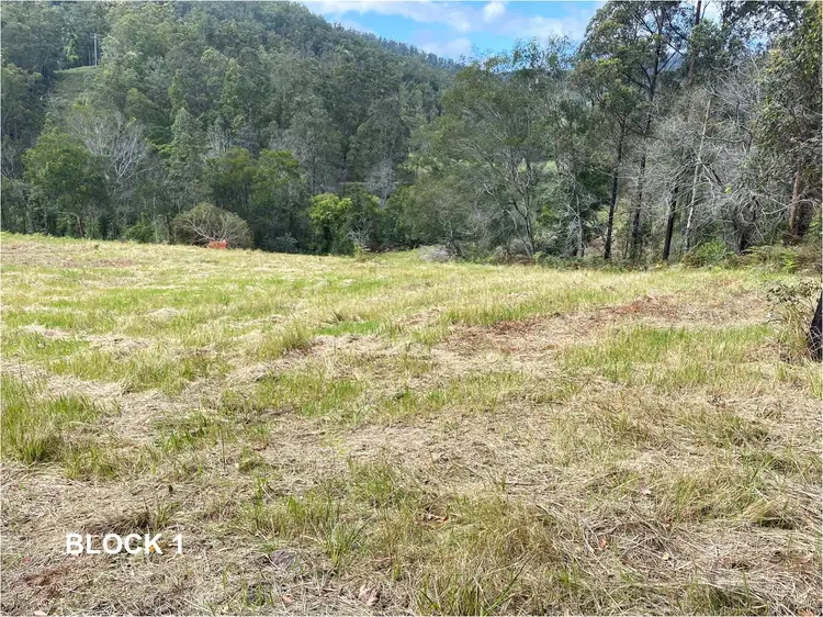 Fifth view of Homely rural property listing, "MacLean's" 5 Lot Lifestyle Acreage 763 Little Run Road, Wherrol Flat NSW 2429