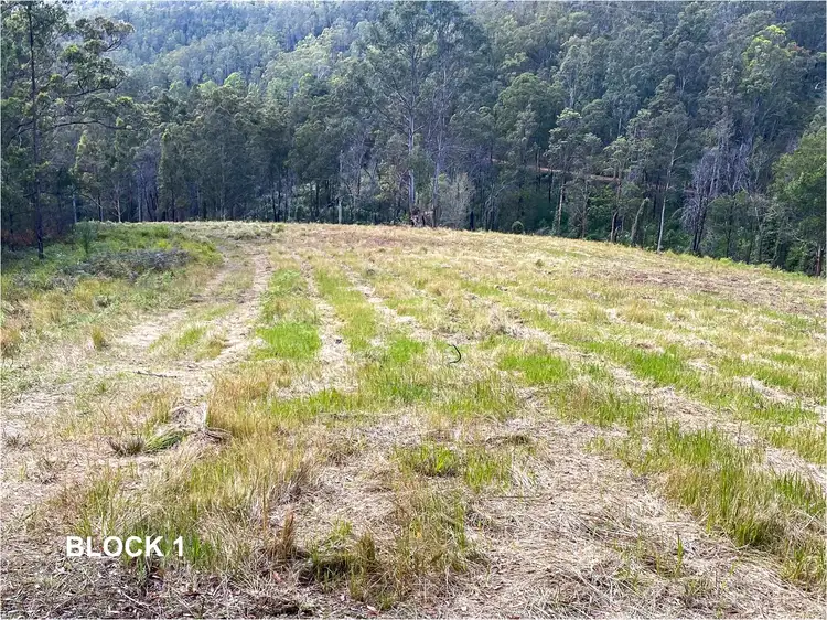 Seventh view of Homely rural property listing, "MacLean's" 5 Lot Lifestyle Acreage 763 Little Run Road, Wherrol Flat NSW 2429