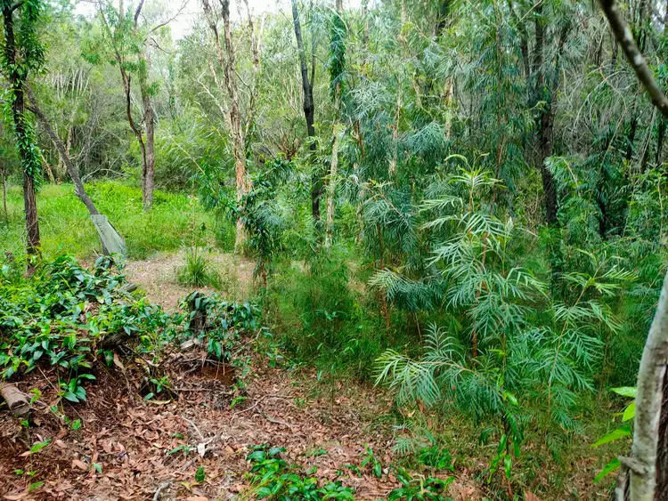 Fifth view of Homely land listing, 22 Bauhinia Drive, Russell Island QLD 4184