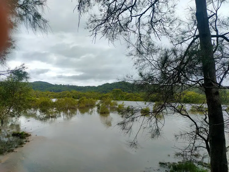 Sixth view of Homely land listing, 22 Bauhinia Drive, Russell Island QLD 4184