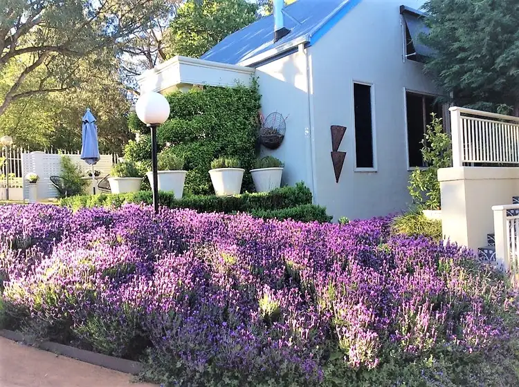 Main view of Homely house listing, 35 WOOD STREET, Beechworth VIC 3747