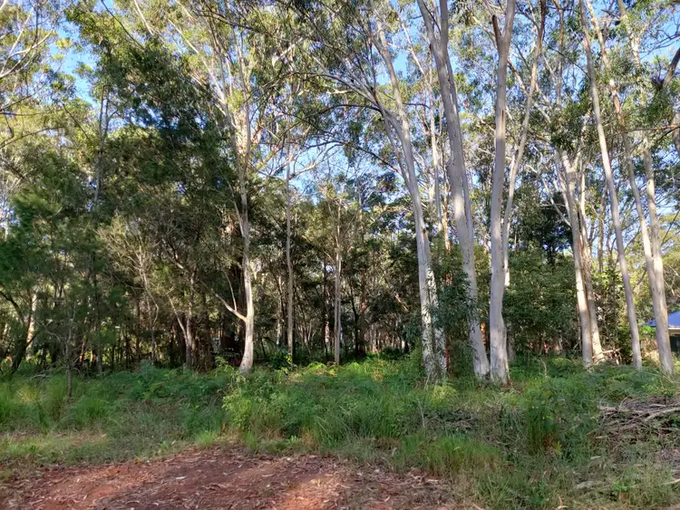 Third view of Homely land listing, 11 Toolona Avenue, Russell Island QLD 4184