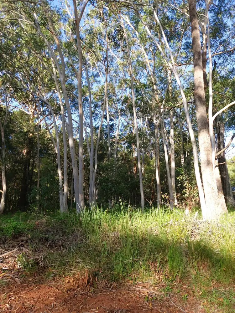 Fourth view of Homely land listing, 11 Toolona Avenue, Russell Island QLD 4184