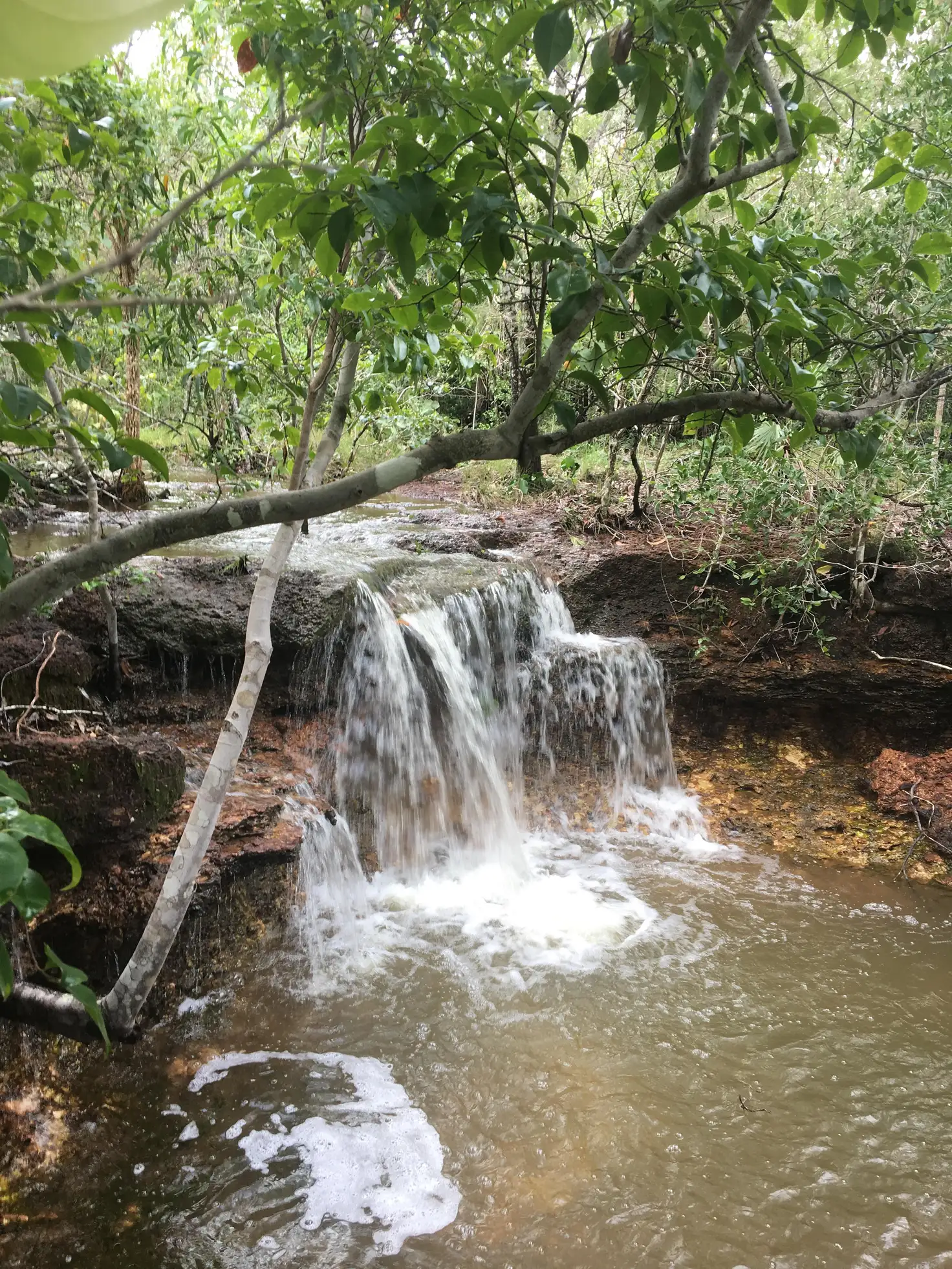 Main view of Homely land listing, 230 Launceston Road, Dundee Beach NT 840