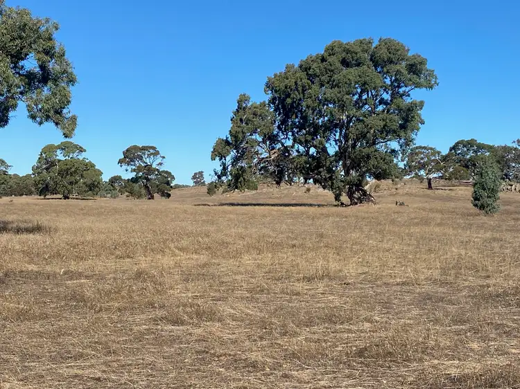 Main view of Homely land listing, 56 Strachans Road, Springton SA 5235