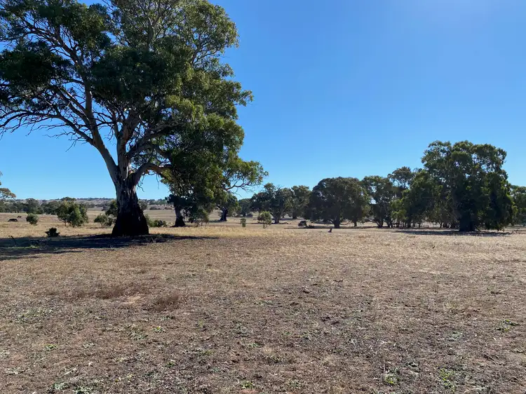 Third view of Homely land listing, 56 Strachans Road, Springton SA 5235