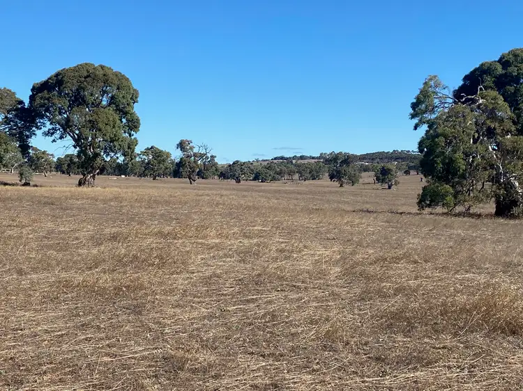 Fourth view of Homely land listing, 56 Strachans Road, Springton SA 5235