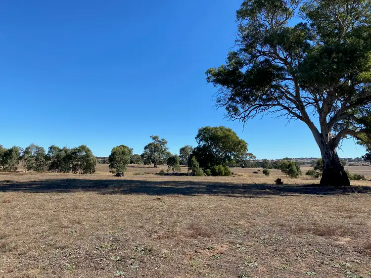 Fifth view of Homely land listing, 56 Strachans Road, Springton SA 5235