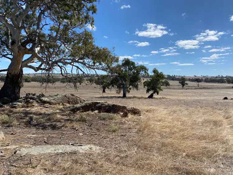 Sixth view of Homely land listing, 56 Strachans Road, Springton SA 5235