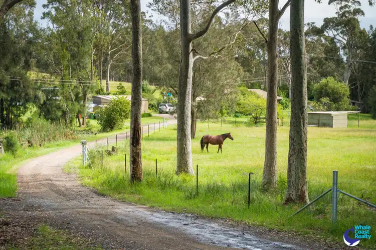 Fourth view of Homely rural property listing, 7440 Princes Highway, Narooma NSW 2546