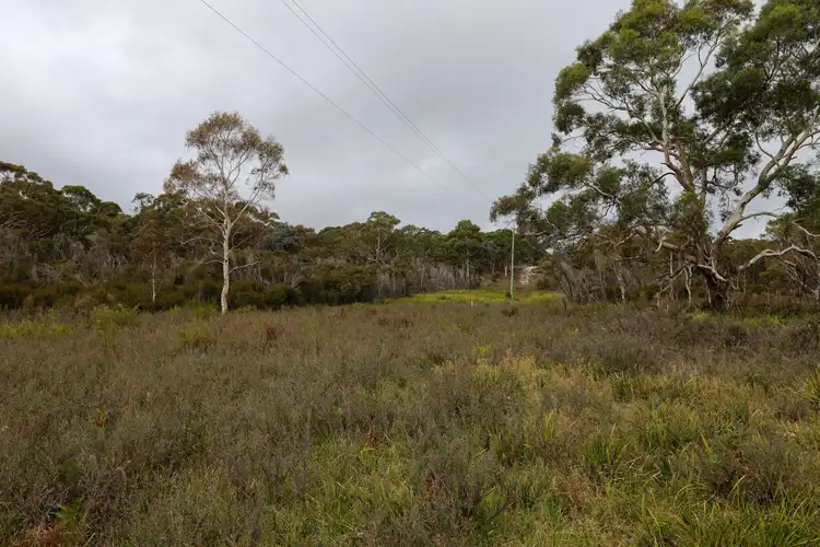 Main view of Homely rural property listing, 2486 Oallen Ford Road, Oallen NSW 2622
