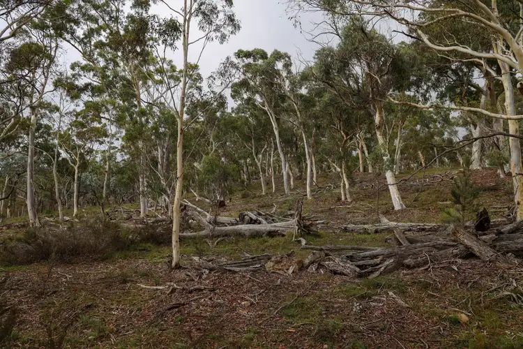 Third view of Homely rural property listing, 2486 Oallen Ford Road, Oallen NSW 2622