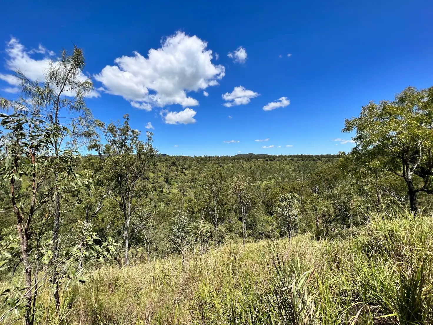 Main view of Homely land listing, 655 Millstream Parade, Millstream QLD 4888