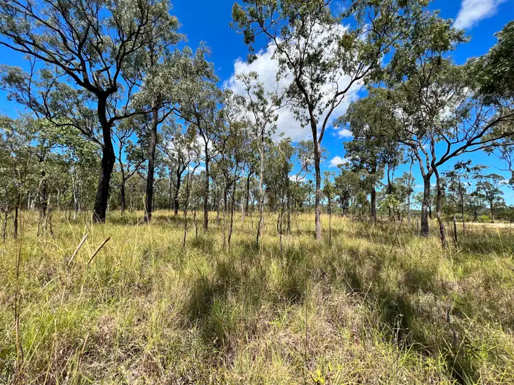 Third view of Homely land listing, 655 Millstream Parade, Millstream QLD 4888