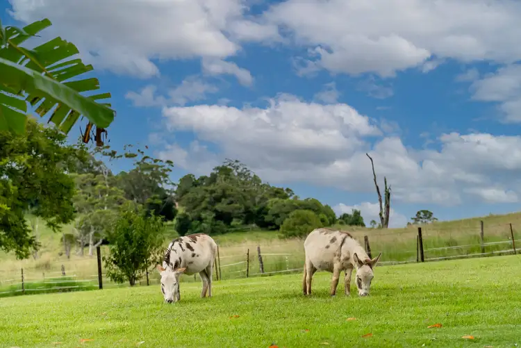 Third view of Homely house listing, 9 Goodey Way, Kureelpa QLD 4560