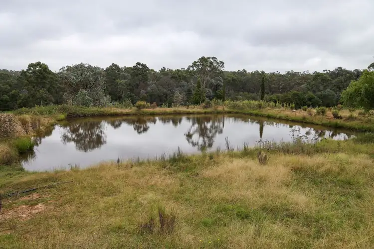 Fifth view of Homely rural property listing, 283 Strawberry Creek Road, Windellama NSW 2580