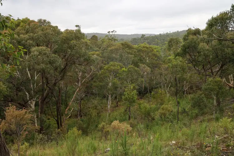Seventh view of Homely rural property listing, 283 Strawberry Creek Road, Windellama NSW 2580