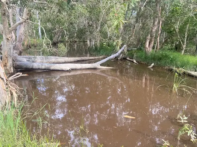 Sixth view of Homely rural property listing, 143 Newitts Road, Yandaran QLD 4673