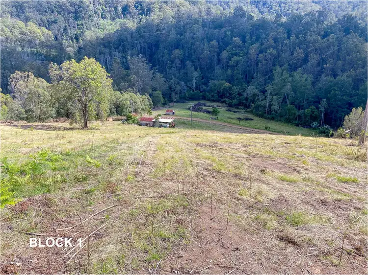 LOT 243/763 Little Run Road, Wherrol Flat NSW 2429