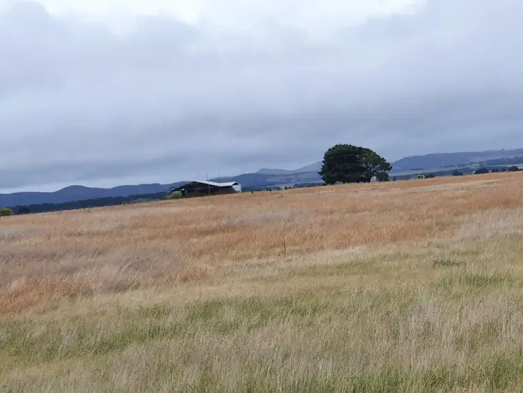 Second view of Homely rural property listing, 61 Leahys Lane, Lake Bathurst NSW 2580