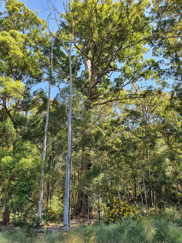 Third view of Homely rural property listing, LOT 6 Williams Road, Benarkin QLD 4314