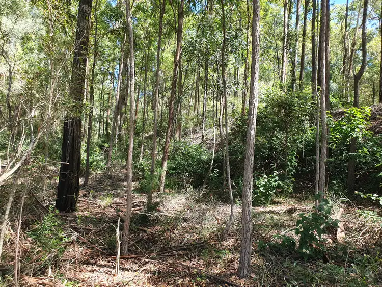 Fourth view of Homely rural property listing, LOT 6 Williams Road, Benarkin QLD 4314