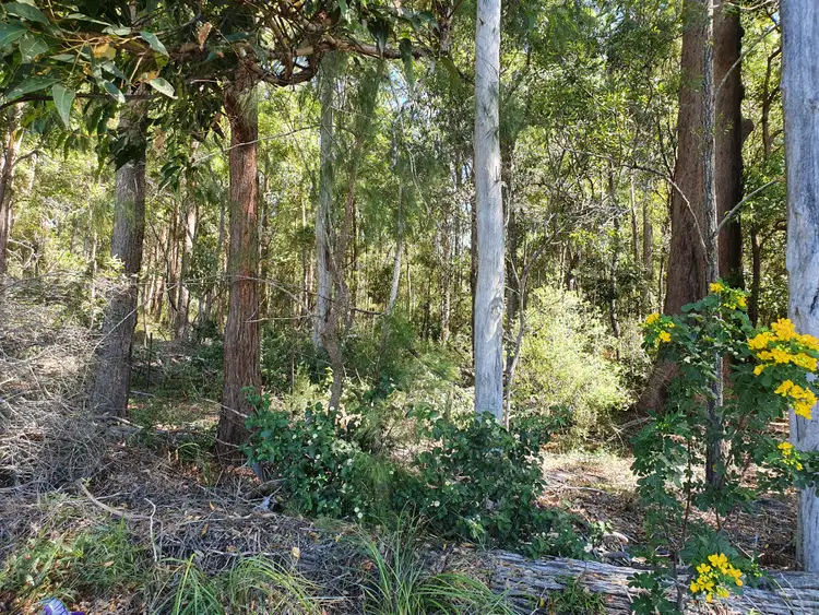 Fifth view of Homely rural property listing, LOT 6 Williams Road, Benarkin QLD 4314