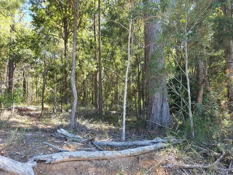 Sixth view of Homely rural property listing, LOT 6 Williams Road, Benarkin QLD 4314