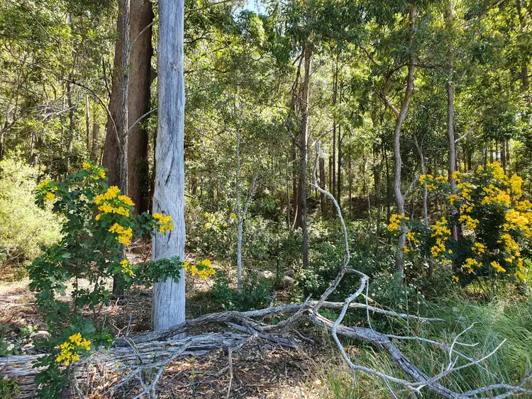 Seventh view of Homely rural property listing, LOT 6 Williams Road, Benarkin QLD 4314