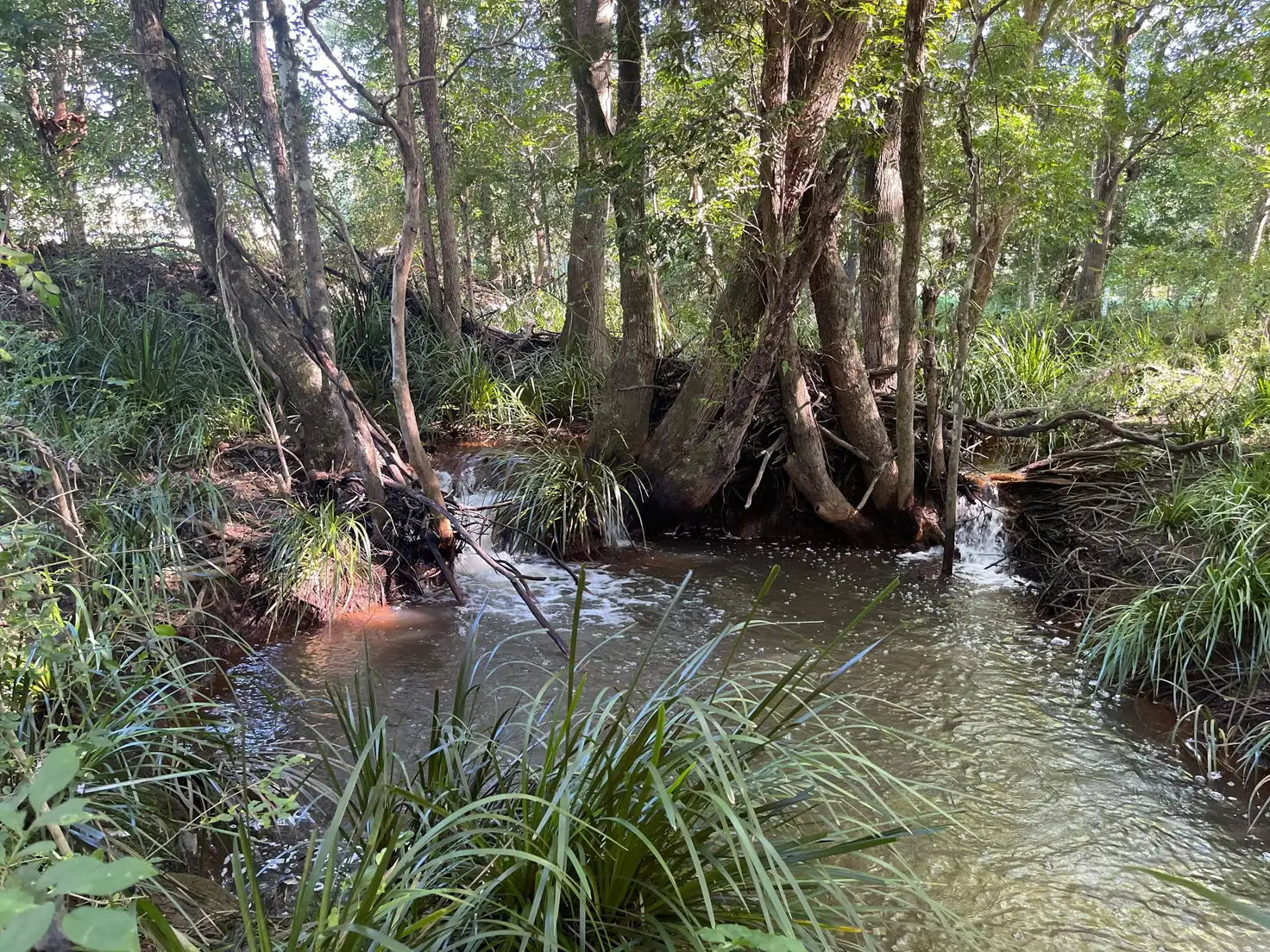 Main view of Homely rural property listing, 1715 Lansdowne Road, Langley Vale NSW 2426