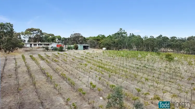 39 Reynolds Court, Graytown VIC 3608