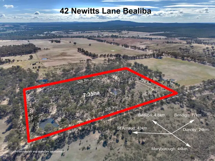 Second view of Homely rural property listing, 42 Newitts Lane, Bealiba VIC 3475