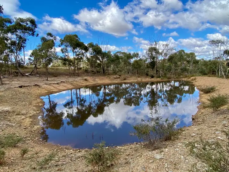 Sixth view of Homely rural property listing, 42 Newitts Lane, Bealiba VIC 3475
