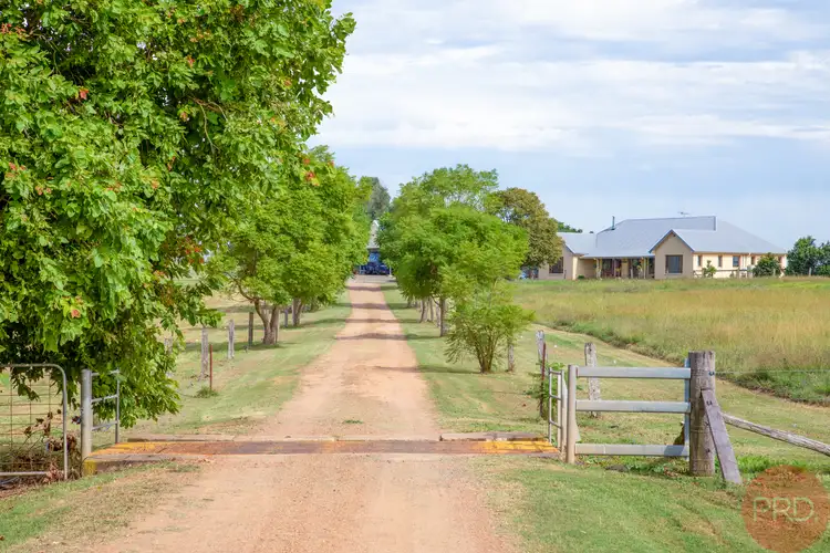 Sixth view of Homely rural property listing, 636 Standen Drive, Lower Belford NSW 2335