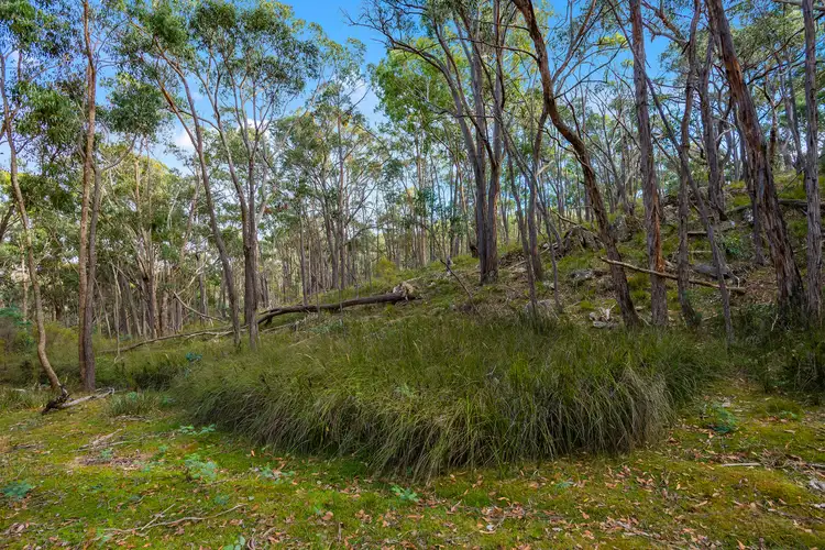 Third view of Homely rural property listing, 38 Nalya Court, Drummond North VIC 3446