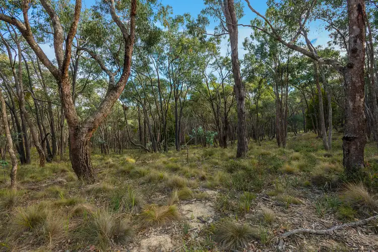 Fifth view of Homely rural property listing, 38 Nalya Court, Drummond North VIC 3446